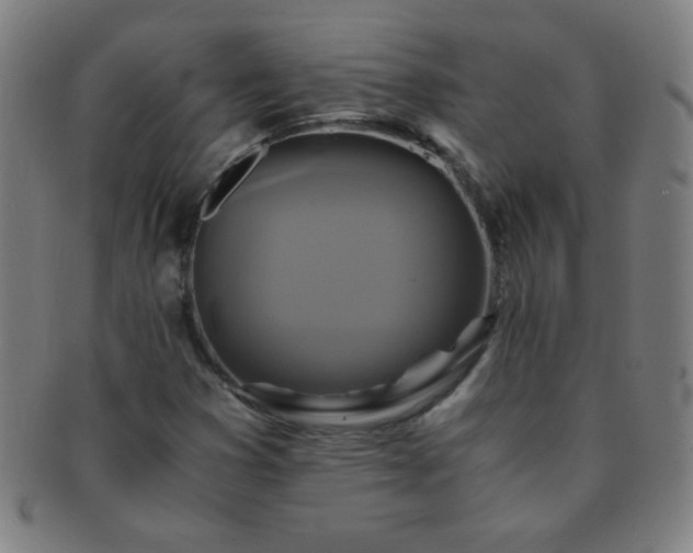 X0000091501353200708231435