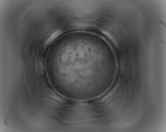 X0000091501354200708231435