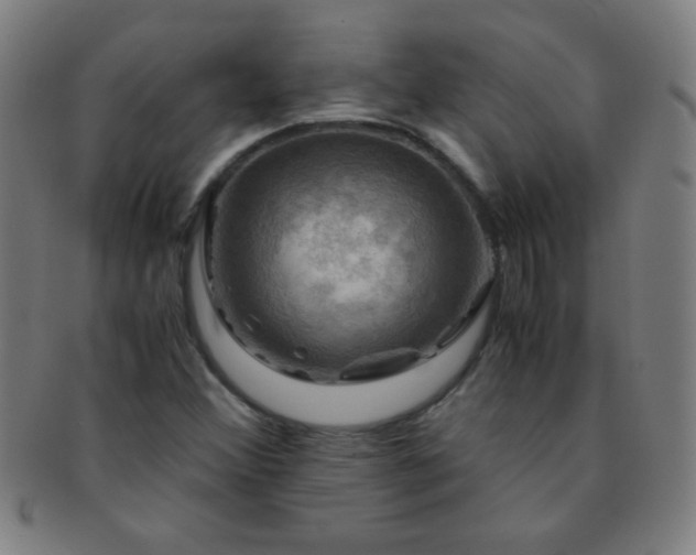 X0000091501356200708231435