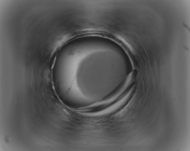 X0000091501357200708231435