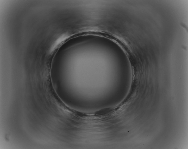 X0000091501359200708231435