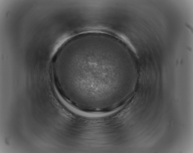 X0000091501360200708231435