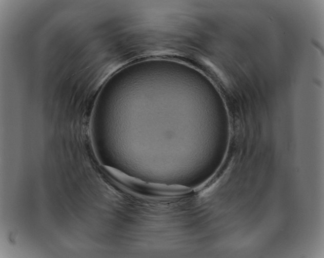 X0000091501361200708231435