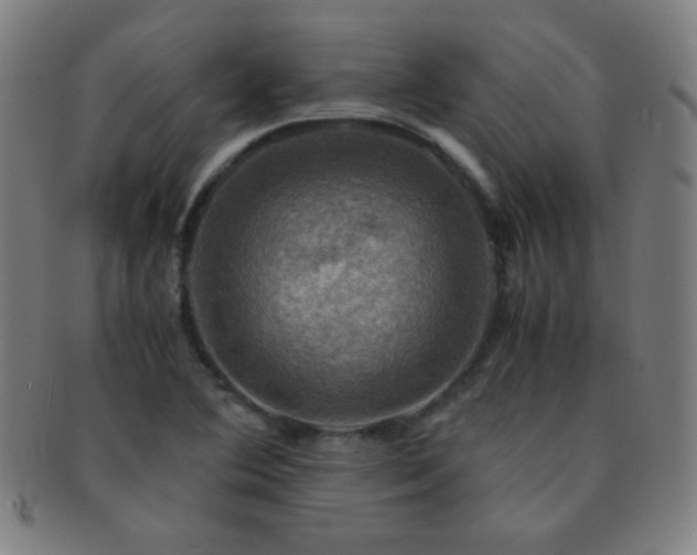 X0000091501364200708231435