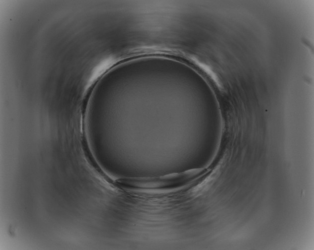 X0000091501365200708231435