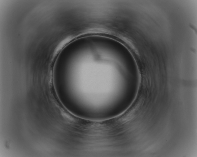 X0000091501366200708231435