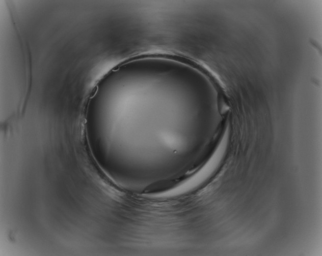 X0000091501367200708231435