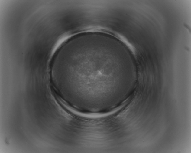 X0000091501368200708231435