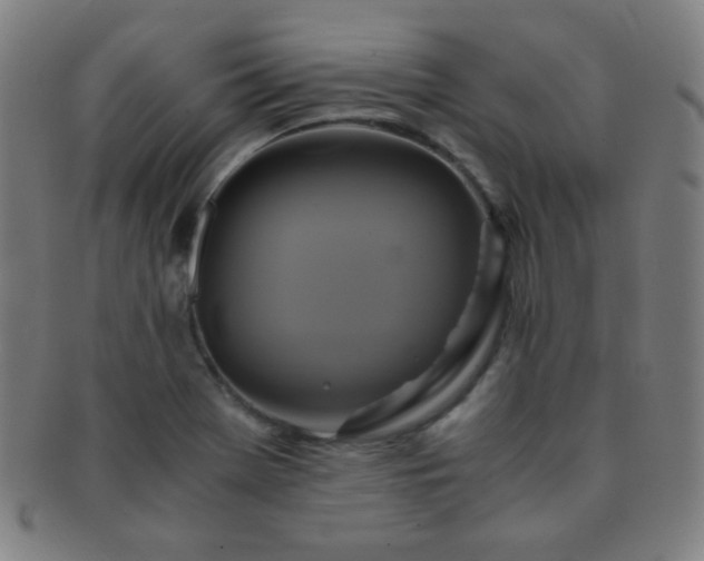 X0000091501369200708231435