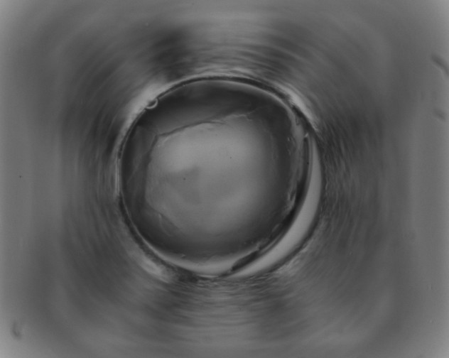 X0000091501371200708231435