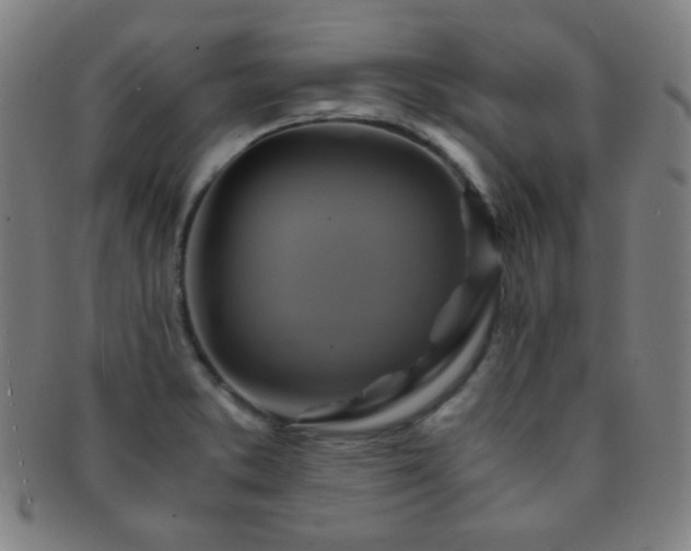 X0000091501373200708231435