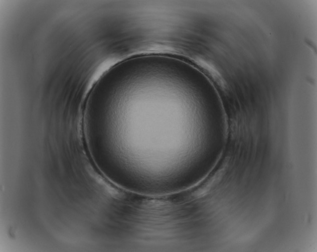 X0000091501374200708231435