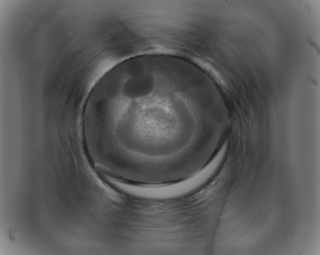 X0000091501375200708231435