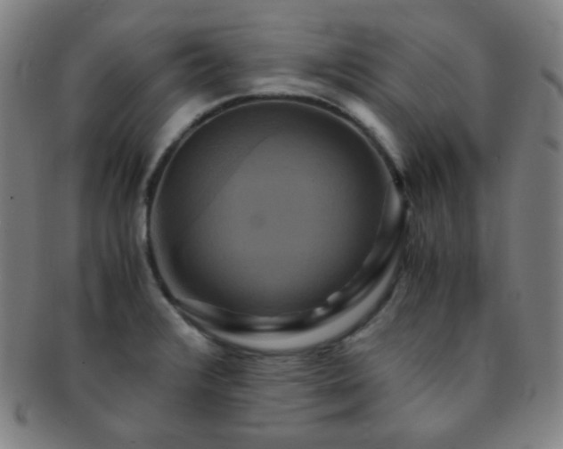 X0000091501376200708231435