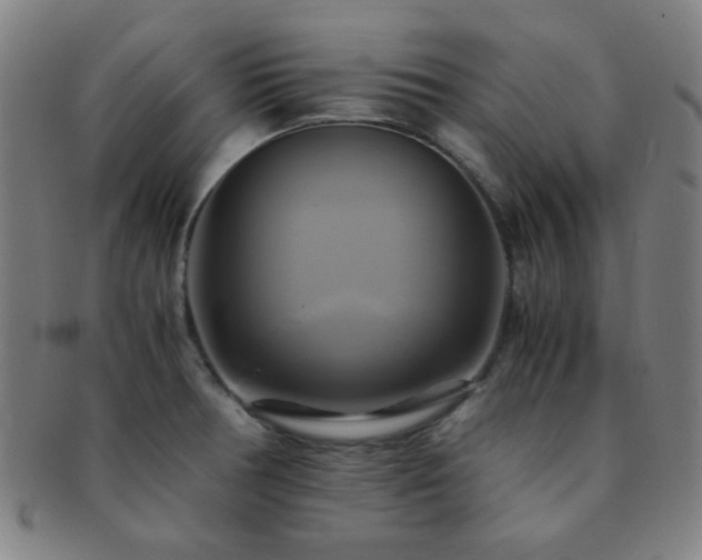 X0000091501378200708231435