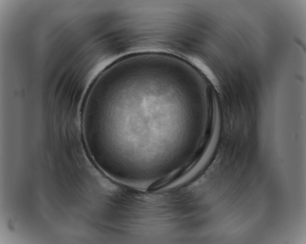 X0000091501380200708231435