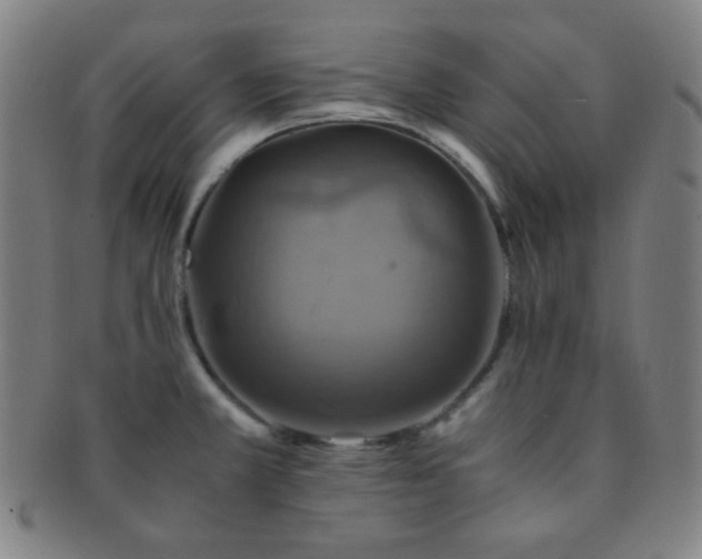X0000091501381200708231435