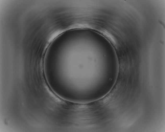 X0000091501382200708231435