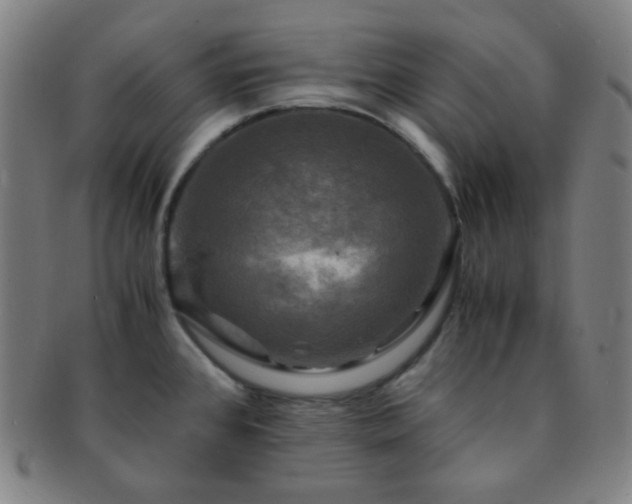 X0000091501384200708231435