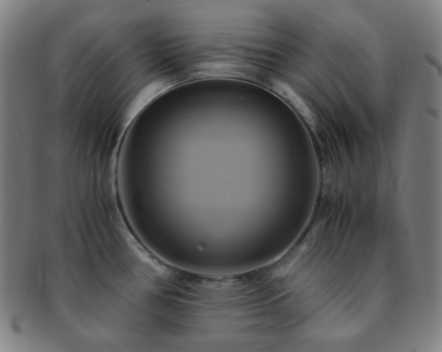 X0000091501386200708231435
