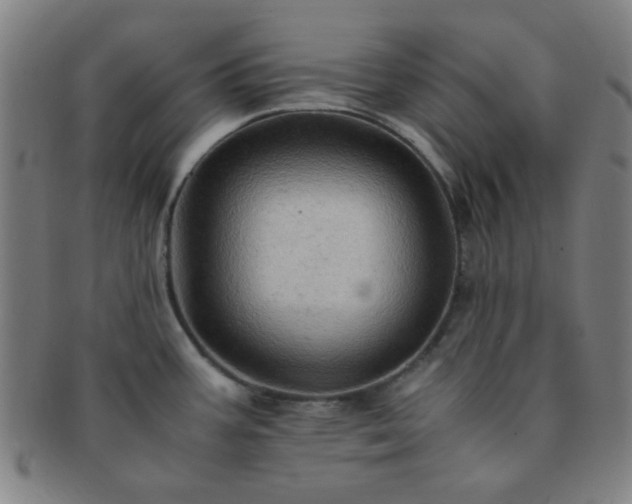 X0000091501387200708231435