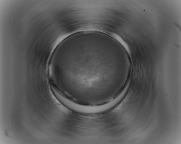 X0000091501388200708231435