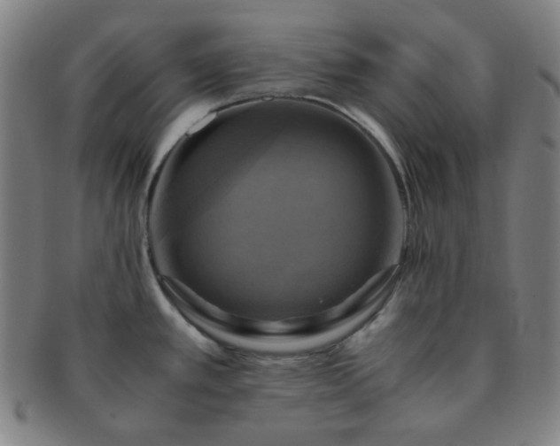 X0000091501389200708231435