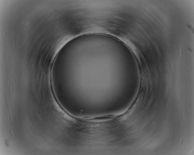 X0000091501390200708231435