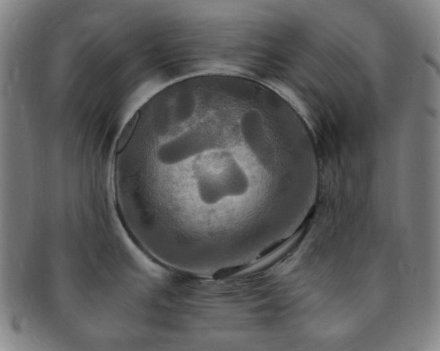 X0000091501391200708231435