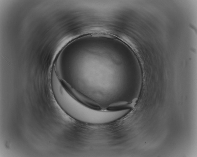 X0000091501392200708231435