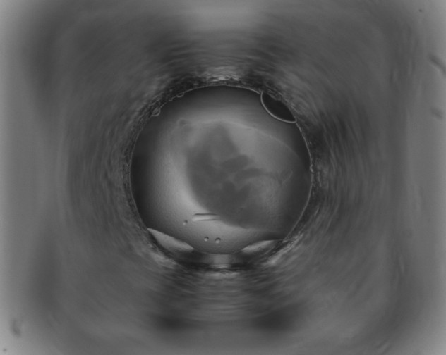 X0000091501393200708231434