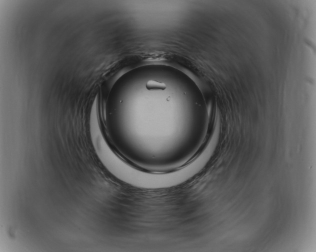 X0000091501394200708231434
