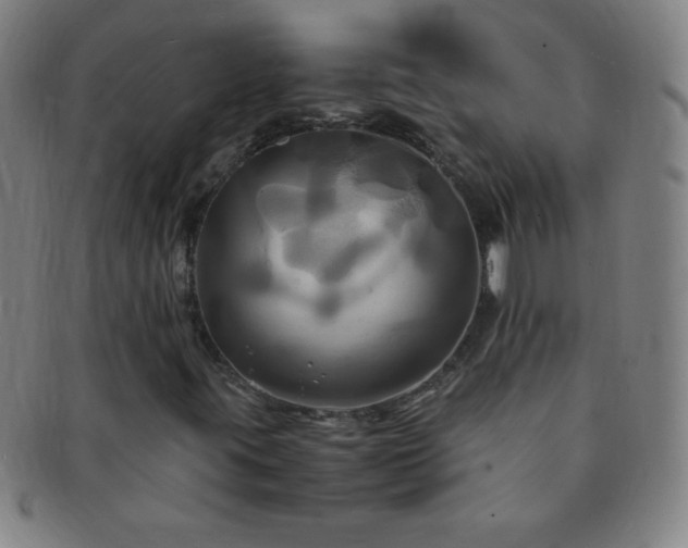 X0000091501395200708231434