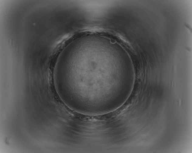X0000091501398200708231434