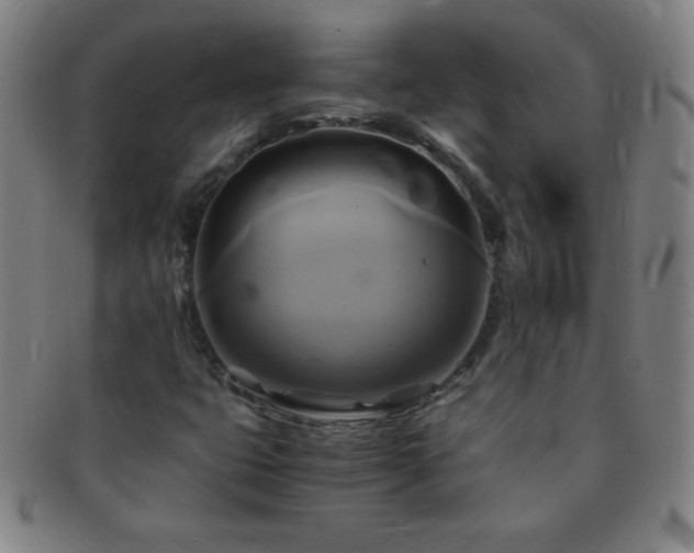 X0000091501399200708231434