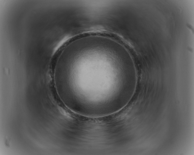 X0000091501400200708231434