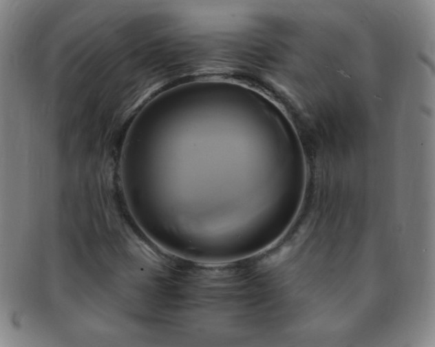 X0000091501401200708231434