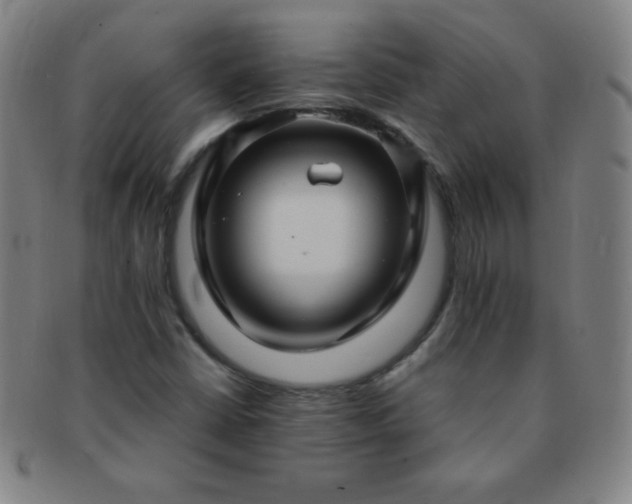 X0000091501402200708231434