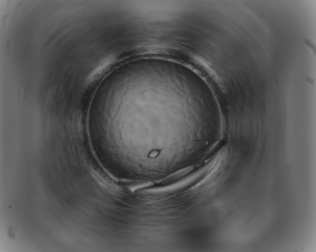 X0000091501403200708231434