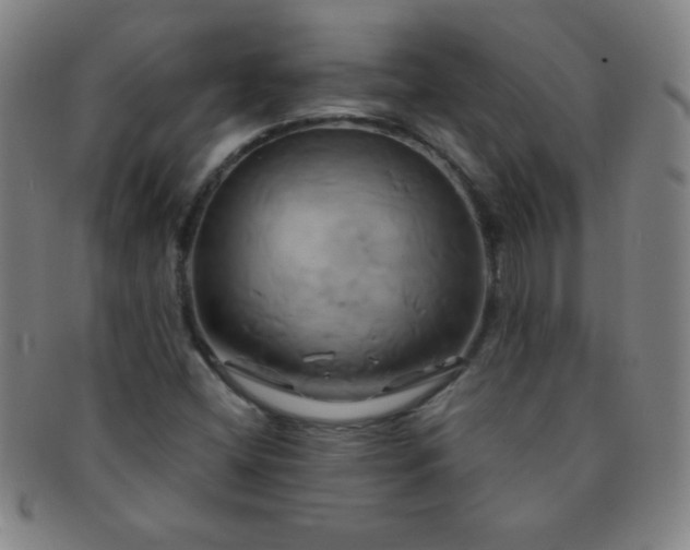 X0000091501404200708231434