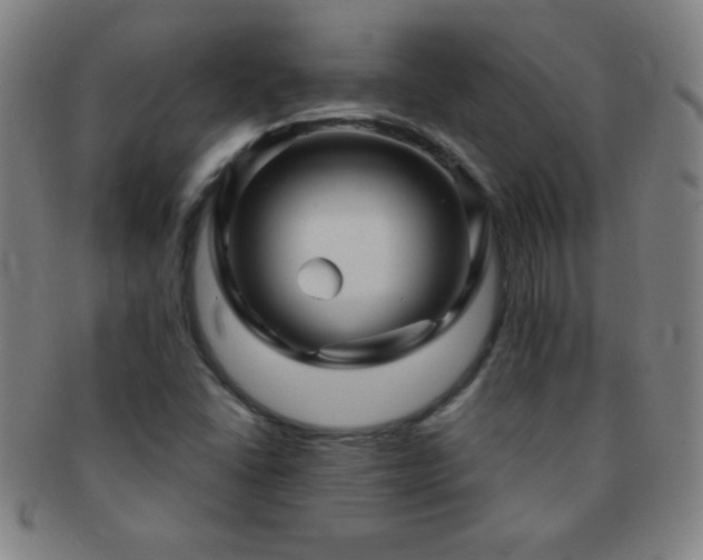 X0000091501406200708231434