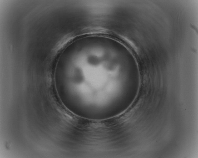 X0000091501407200708231434