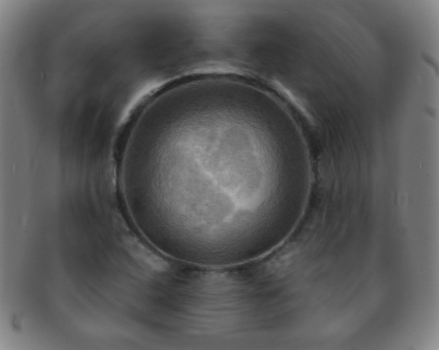 X0000091501408200708231434