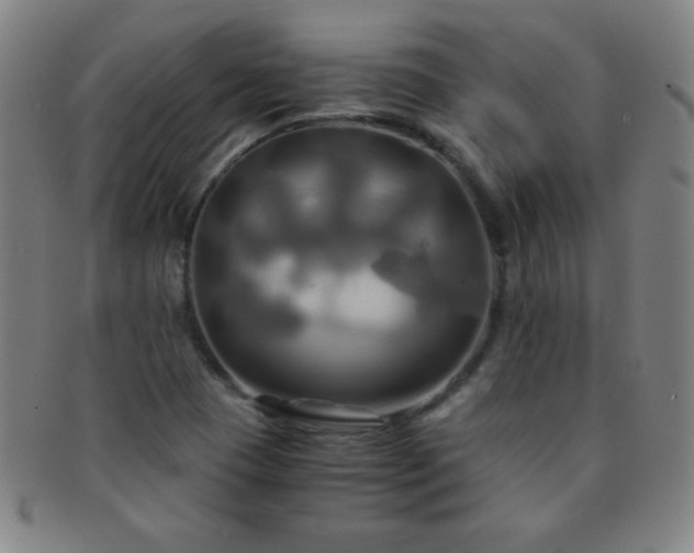 X0000091501409200708231434