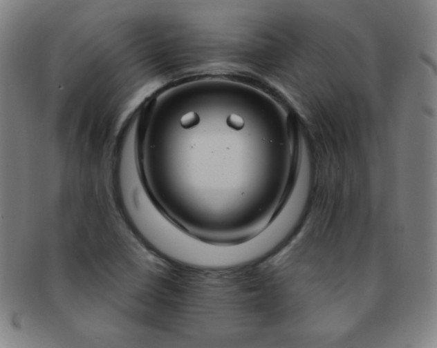 X0000091501410200708231434