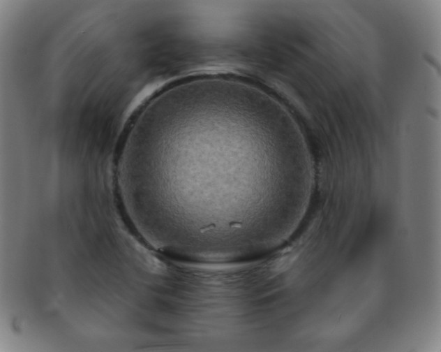 X0000091501412200708231434