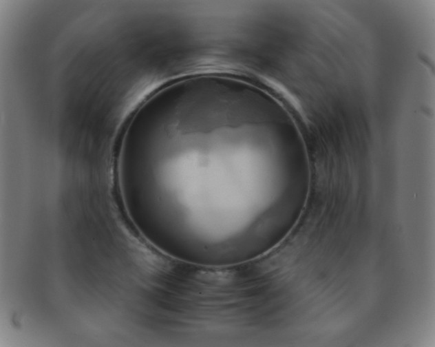 X0000091501415200708231434