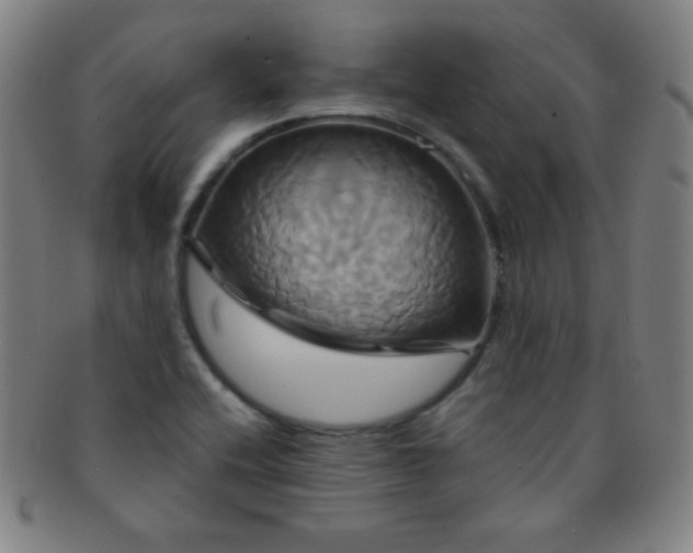 X0000091501416200708231434