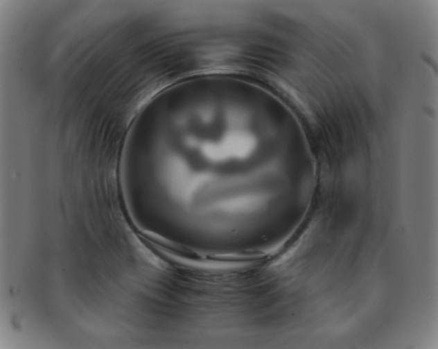 X0000091501417200708231434