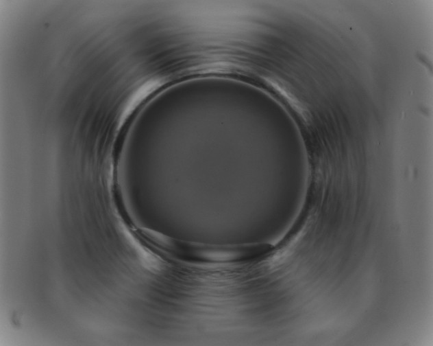 X0000091501418200708231434